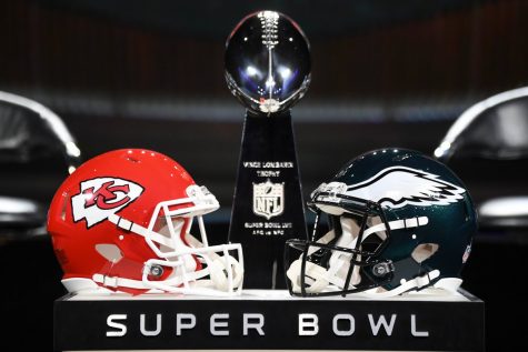 Super Bowl Picks and Predictions